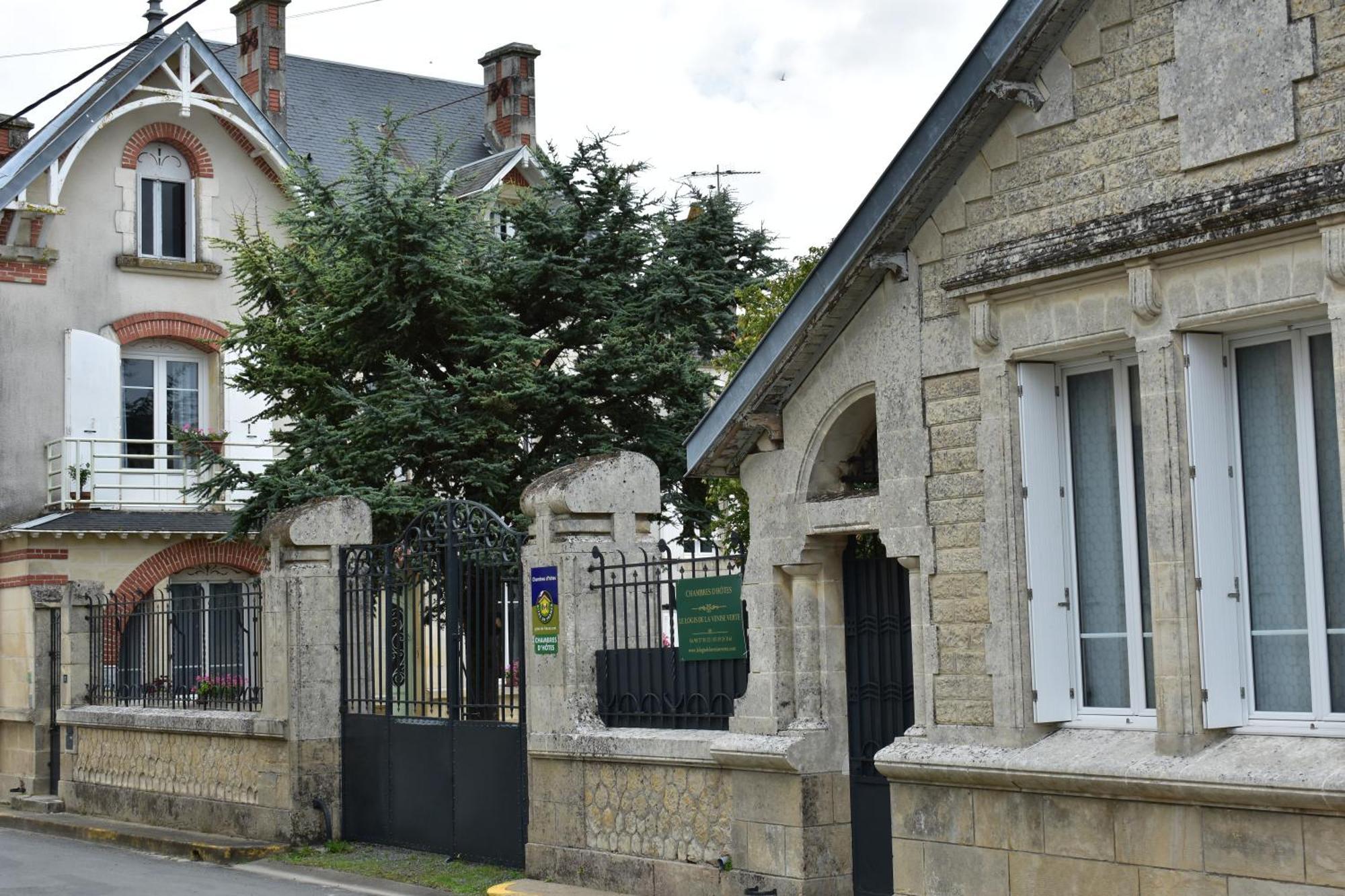 Saint-Hilaire-la-Palud Le Logis De La Venise Verte المظهر الخارجي الصورة